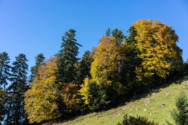 Horská krajina v buergenstock poblíž lucerne Švýcarsko Turistika — Stock fotografie