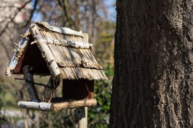 Kış Sonbahar sezonunda ağaç gövde önünde ahşap Birdhouse