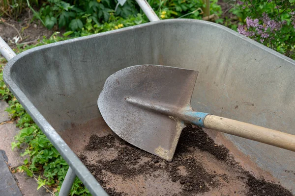 Shovel in wheelbarrow for gardening