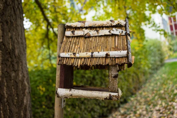 Птичий дом из дерева вид сбоку — стоковое фото