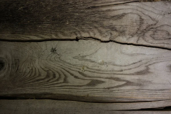 Banc tronc d'arbre avec lignes d'arbre — Photo