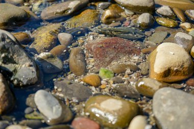 temiz su ile nehir içinde taşlar