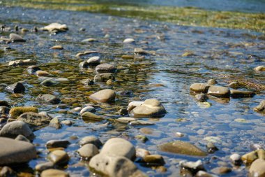 temiz su ile nehir içinde taşlar