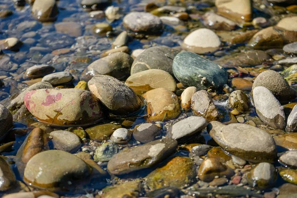 Stenen in de rivier met helder water — Stockfoto
