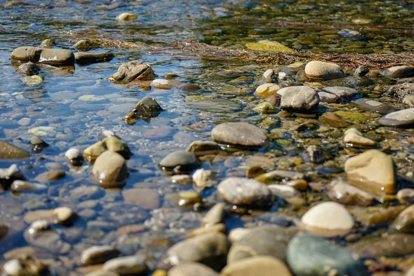 Камни в реке с чистой водой — стоковое фото