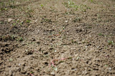 Kuru kahverengi toprak yakın çekim yaz, yağmur eksikliği görünümünde