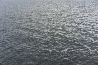 yeşil renk ve dalgalar ile göl suyu