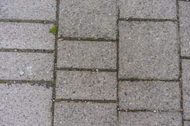 çizgiler ile taş beton yol