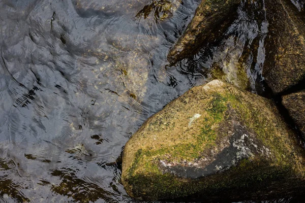 水海岸で大きな石 — ストック写真