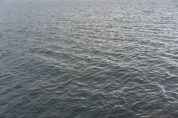 Agua del lago con color verde y olas —  Fotos de Stock