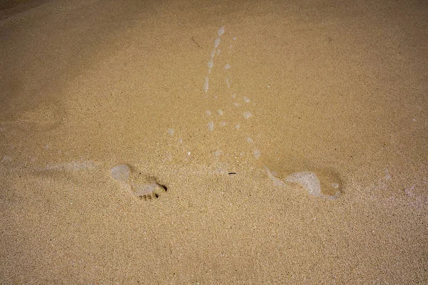 Impronte su sabbia marrone sulla spiaggia tropicale — Foto Stock