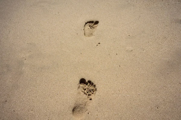 Ślady na brązowy piasek na tropikalnej plaży — Zdjęcie stockowe