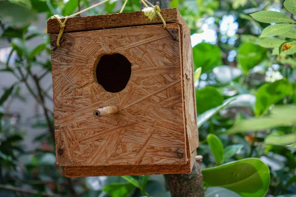 Semplice casa di uccelli in legno con sfondo verde bosco — Foto Stock