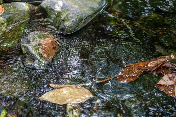 葉や石で小さなマウンテン クリーク — ストック写真
