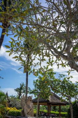 Güneş şemsiyesi mavi gökyüzü ile tatil seyahat kavramı