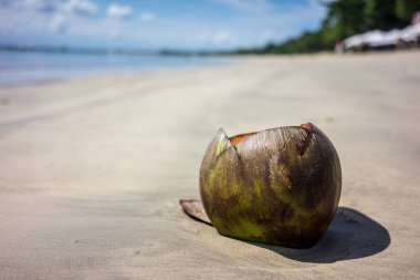 Hindistan cevizi kum Beach ile okyanus arka plan
