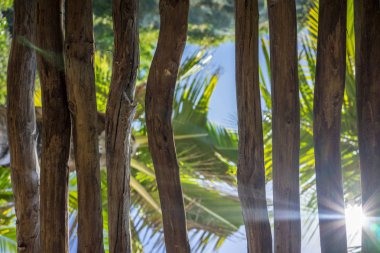 tropikal ahşap çatı ve mavi gökyüzü, Island Seyahat kavramı