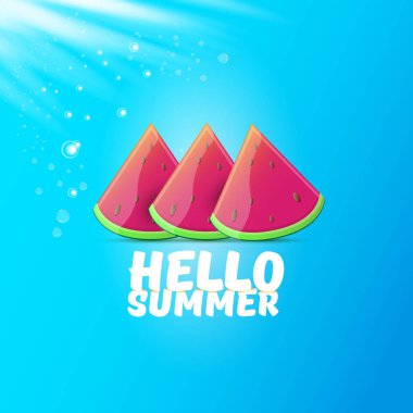 Vektör Merhaba yaz Beach Party Flyer tasarım şablonu mavi gökyüzü arka planda izole taze karpuz dilim ile. Merhaba yaz kavramı etiket veya poster ile meyve ve tipografi metin