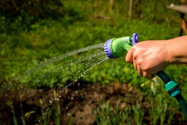 Garden.Hand su ve sprey ile sulama için hortum tutan bahçıvan sulama kadın kıdemli güneş ışığı. Bahçe kavramı. Kopya alanı