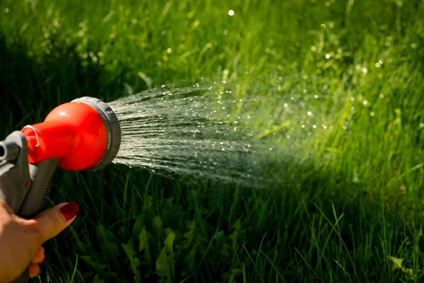 Innaffiatura dell'attrezzatura da giardino - tenere in mano il tubo dell'irrigatore per impianti di irrigazione. Giardiniere con innaffiatoio e spruzzatore d'acqua sulla verdura.Copia spazio — Foto Stock