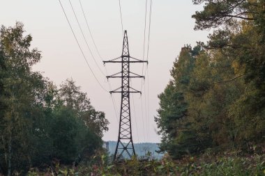 Elektrik güç iletim hatları üzerinden ağaçlar. Yüksek gerilim iletim kulesi forest.power satırları. Güç Dağıtım İstasyonu. yüksek voltajlı elektrik iletim