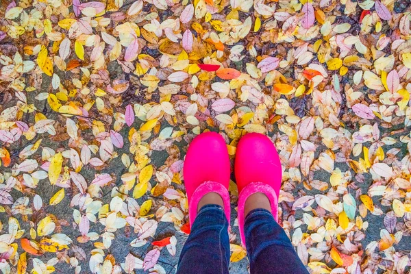 Botas de goma rosa con hojas amarillas caídas. Bosque de otoño, escena de otoño. Vista superior con zapatos copyspace.female y hojas coloridas.Persona en botas de lluvia de pie en hojas de otoño — Foto de Stock