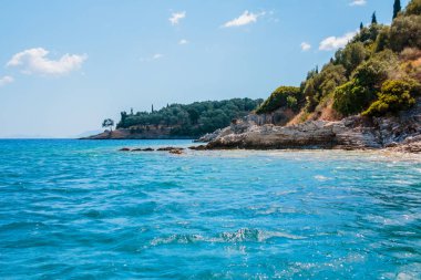 Vahşi shore zeytin ağaçları ile çevrili küçük kumsalı. Yunanistan tatil. Mavi berrak su Körfez. Kopya alanı