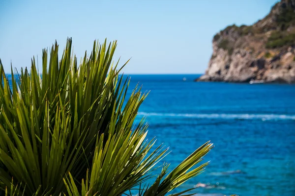 Beautiful summer panoramic seascape. View of the coastline into the sea bays with crystal clear azure water. In the backlight sunbeam light. Paleokastrica. Corfu. Ionian archipelago. Greece. — Stock Photo, Image