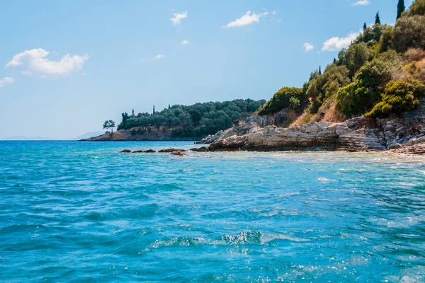 Vahşi shore zeytin ağaçları ile çevrili küçük kumsalı. Yunanistan tatil. Mavi berrak su Körfez. Kopya alanı