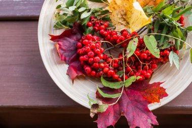 Sonbaharın meyveleri, yaprakları ve ahşap arka plan üzerinde meyve. Kırmızı Rowan çilek ve renkli sonbahar yaprakları. Sonbaharda hasat, boşaltmak, düz kavramı yatıyordu.