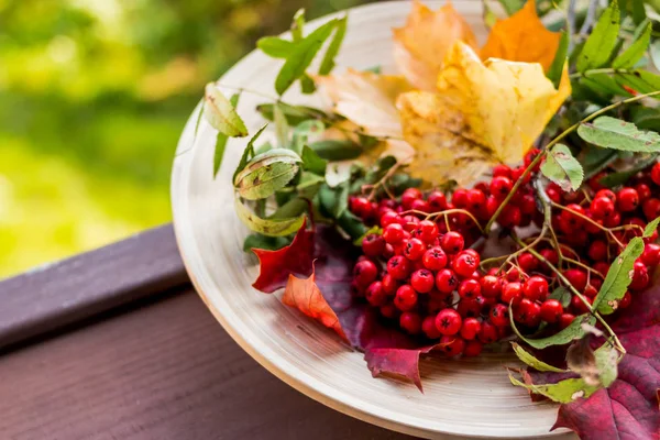 Autumn composition of leaves and berries on wooden background. Thanksgiving day concept.Red rowan berries,Medical berry. Phytotherapy. vitamin C.Autumn sign