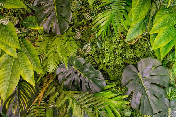 Patrón de hojas tropicales. Hoja verde plantas exóticas sin costuras sobre un fondo oscuro de la selva. collage fotográfico artístico para impresión floral. Hojas naturales de palma, plátano, monstera plantilla telón de fondo . —  Fotos de Stock