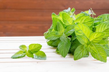 Nane. Ahşap masa portre taze yeşil organik nane yaprağı demet. Seçici odak. Doğal ahşap zemin üzerine küçük sepet içinde nane, nane güneş ışınları altında bırakır. Kopya alanı