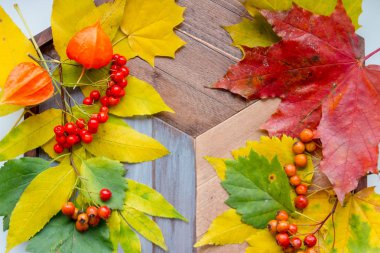 Sonbahar yaprakları ve turuncu physalis eski bir ahşap masanın üzerinde yatan. Natürmort. Sonbahar Şükran hala Life.Halloween Şükran günü veya mevsimlik sonbahar. Tasarım kadar sahte. Sonbahar hala life.fallen