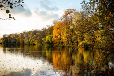 Bulutlu, güneşli hava, sonbahar resimsel peyzaj, çok sonbahar ağaç doğa parkı, Saint Petersburg, Russia.Fall sezon city Park, lake yakınındaki sonbahar ağaçlar