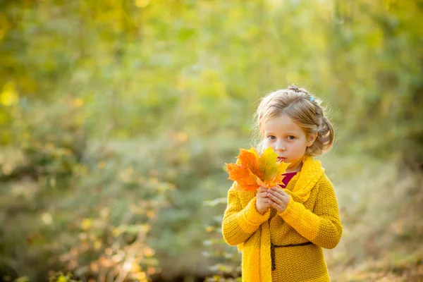 Happy Jesień. Dziewczynka w płaszcz żółta bawi się z spadających liści. Witam jesień koncepcja. Dla dzieci zabawy na świeżym powietrzu w parku. Dzieci na wycieczkę w jesienny Las. Toddler dziecko klon drzew — Zdjęcie stockowe