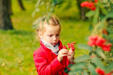 Rüya gibi genç sarışın kız elele üvez meyveleri ve bak. Sonbahar park. Sonbahar sezonu. Şirin çocuk kırmızı paltolu eğlenceli açık vardır. İlginç çocukluk kavramı. Sonbahar sezonu doğa