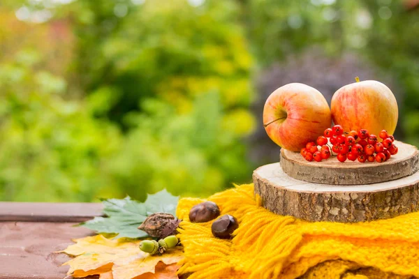 Owoce i orzechy, żółty szalik na drewniany stół ogrodowy, wygodne życie autumn.still z jabłek, jagód jarzębiny, kasztany i żołędzie. Jasny jesień Martwa natura z darów jesieni. Dzień Dziękczynienia. Kopiowanie — Zdjęcie stockowe