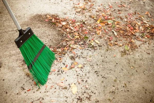 Balayer les feuilles sèches avec balai. Automne, saison d'automne. Pleurer les feuilles, balayer les gens, nettoyer le jardin. Travailleur d'entretien dans le jardin du parc nettoie les routes avec un balai de jardin en plastique. Copier l'espace — Photo