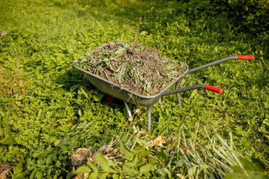 El arabası kesme gördüm otların tam. Adam bahçede süpürge yaprakları sonbaharda süpürür. Renkli kuru yaprakları: kırmızı, turuncu, sarı, yeşil yalan parkta çim ve yolları üzerinde. Sonbahar Temizleme, çalışmalarında