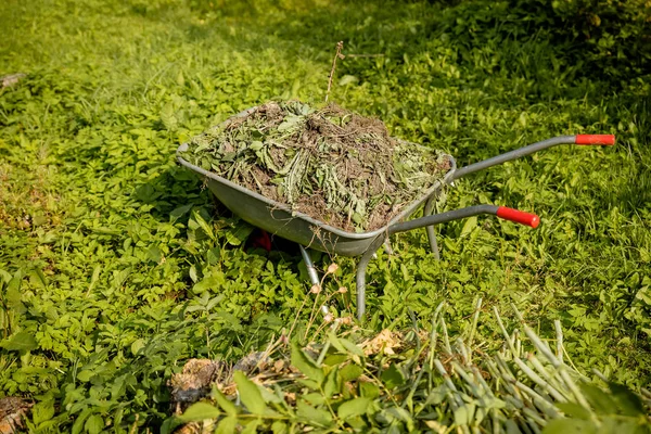 El arabası kesme gördüm otların tam. Adam bahçede süpürge yaprakları sonbaharda süpürür. Renkli kuru yaprakları: kırmızı, turuncu, sarı, yeşil yalan parkta çim ve yolları üzerinde. Sonbahar Temizleme, çalışmalarında