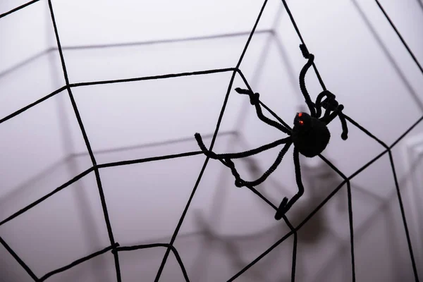 Home Decor na tle ściany. Halloween wakacje koncepcja. Halloween tło z pajęczyny i pająki, jako symbole Halloween na ciemnym niebieskim tle drewnianych. Koncepcja Halloween — Zdjęcie stockowe