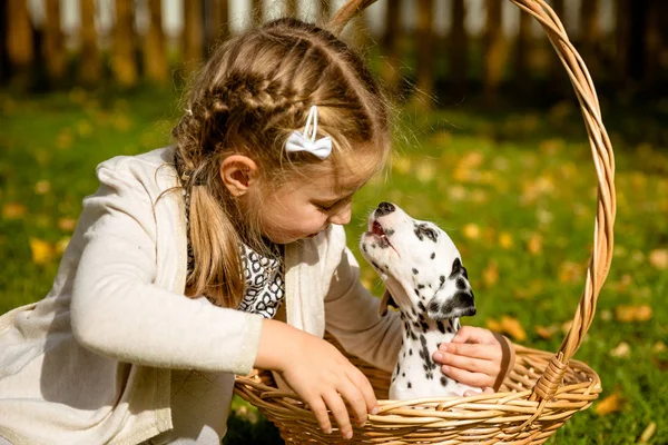 A little blond girl with her pet dog outdooors in park.Cute little girl is playing with her puppy in the green park on lawn.real friends. cute Dalmatian puppy kissing sweet blonde hair girl — Stock Photo, Image