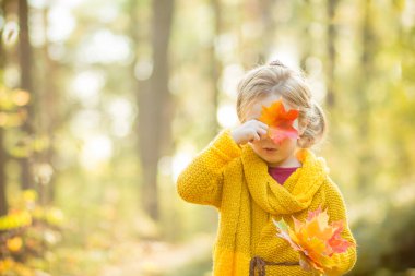 Güzel 5 yıl yaşlı sarışın kız yüzünü bir akçaağaç yaprağı sonbahar güneşli orman arka plan üzerinde arkasında gizler. Sonbahar, mevsim, çocukluk ve insanlar kavramı. Sevimli çocuk, yürümeye başlayan çocuk autumnnal ile bırakır. Kopya