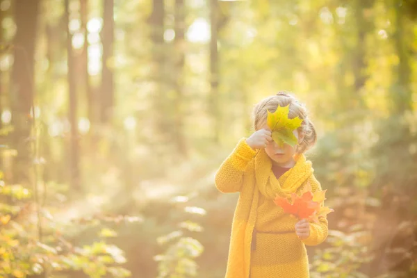 Mooi 5 jaar oud blond meisje verbergt haar gezicht achter een esdoornblad op een achtergrond van herfst zonnig bos. Herfst, seizoen, jeugd en mensen concept. Schattige jongen, peuter met autumnnal bladeren. Kopie — Stockfoto