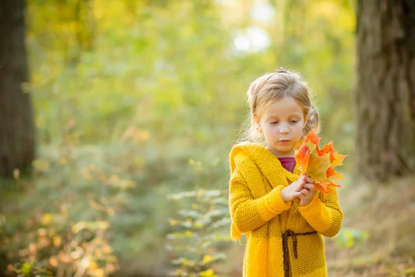 Bambino felice giocando con foglie di acero giallo e sogni all'aperto nel parco autunnale sotto i raggi del sole. Felicità, autunno e infanzia concettuale.Ritratto autunnale di una graziosa ragazzina. — Foto Stock