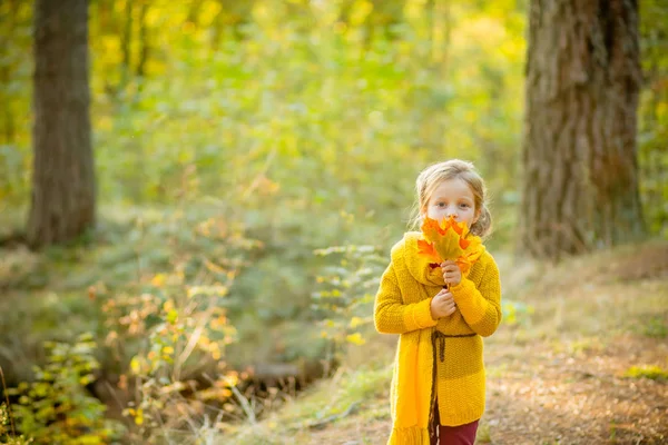 Kleines Mädchen im Herbst mit Blättern. das kleine Mädchen im gelben Strickmantel im Herbstpark. das Mädchen in den Händen eines Straußes aus gelben Blättern. — Stockfoto