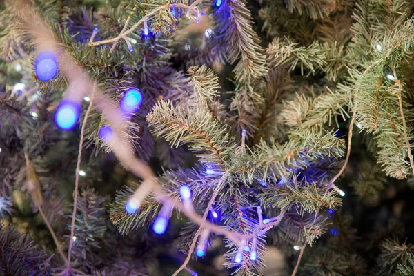 Χριστουγεννιάτικο φόντο με garland.preparing Χριστούγεννα για διακοπές. φόρεμα μέχρι τη γιρλάντα για το χριστουγεννιάτικο δέντρο. Μπλε φώτα για το έλατο. Διακόσμηση σπίτι για διακοπές. Νέο έτος βράδυ. — Φωτογραφία Αρχείου