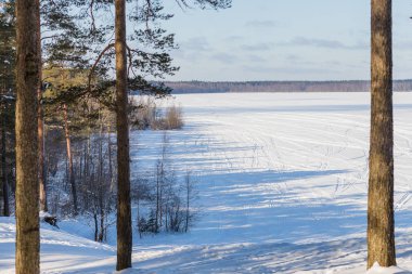 Donmuş gölün buz ve kar, güneşli kış günü. Forest.Winter karlı manzara orman, patika, göl ve mavi gökyüzü ile. ağaçlar karla kaplı. Kış soğuk gün.