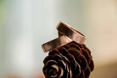 Güzel iki altın çam kozalakları yığını üzerinde yalan alyans. Davetiye. Uzay kopyalayın. Aşk kavramı. Altın alyans çam cone.close-up. İki altın çam yığını üzerinde yalan alyans